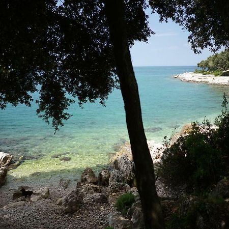 Guesthouse Galeb Vrsar Luaran gambar